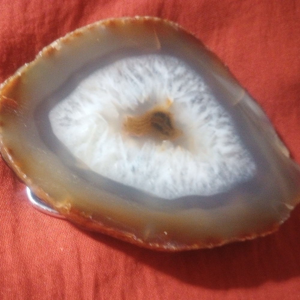 Brown and White UNISEX Polished Agate Slice Belt Buckle